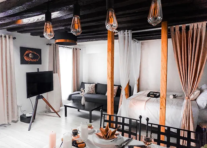 Rustic Charm&Dreamhome 40M2 In The Heart Of Paris, Near Pompidou And Notre-Dame, Subway 4,8,9 Honeymoon Favourite